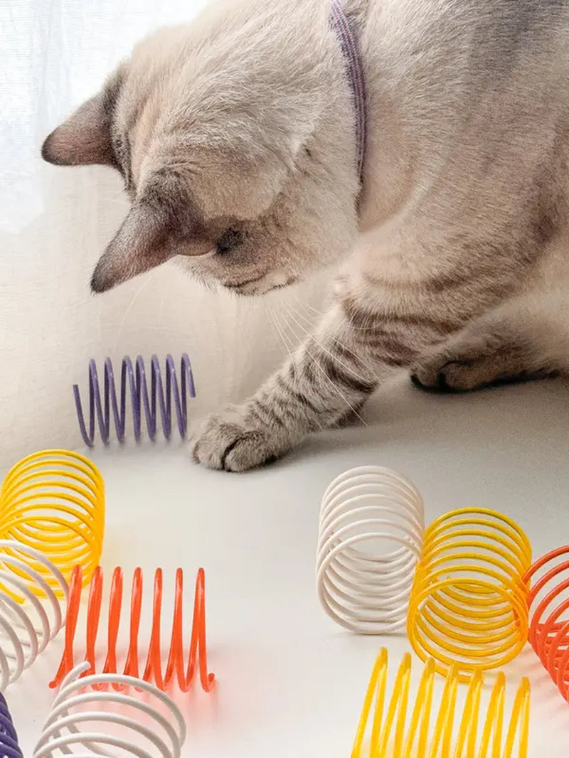 "Set of 5 Durable and Transparent Cat Toy Springs"