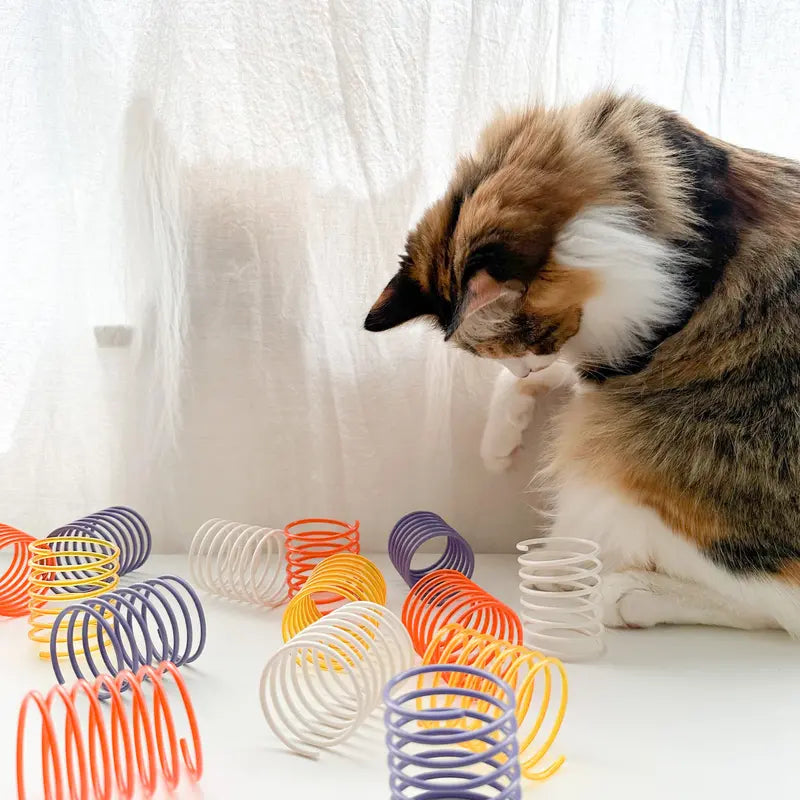 "Set of 5 Durable and Transparent Cat Toy Springs"