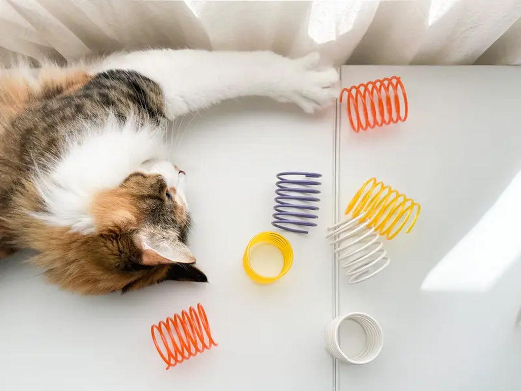 "Set of 5 Durable and Transparent Cat Toy Springs"